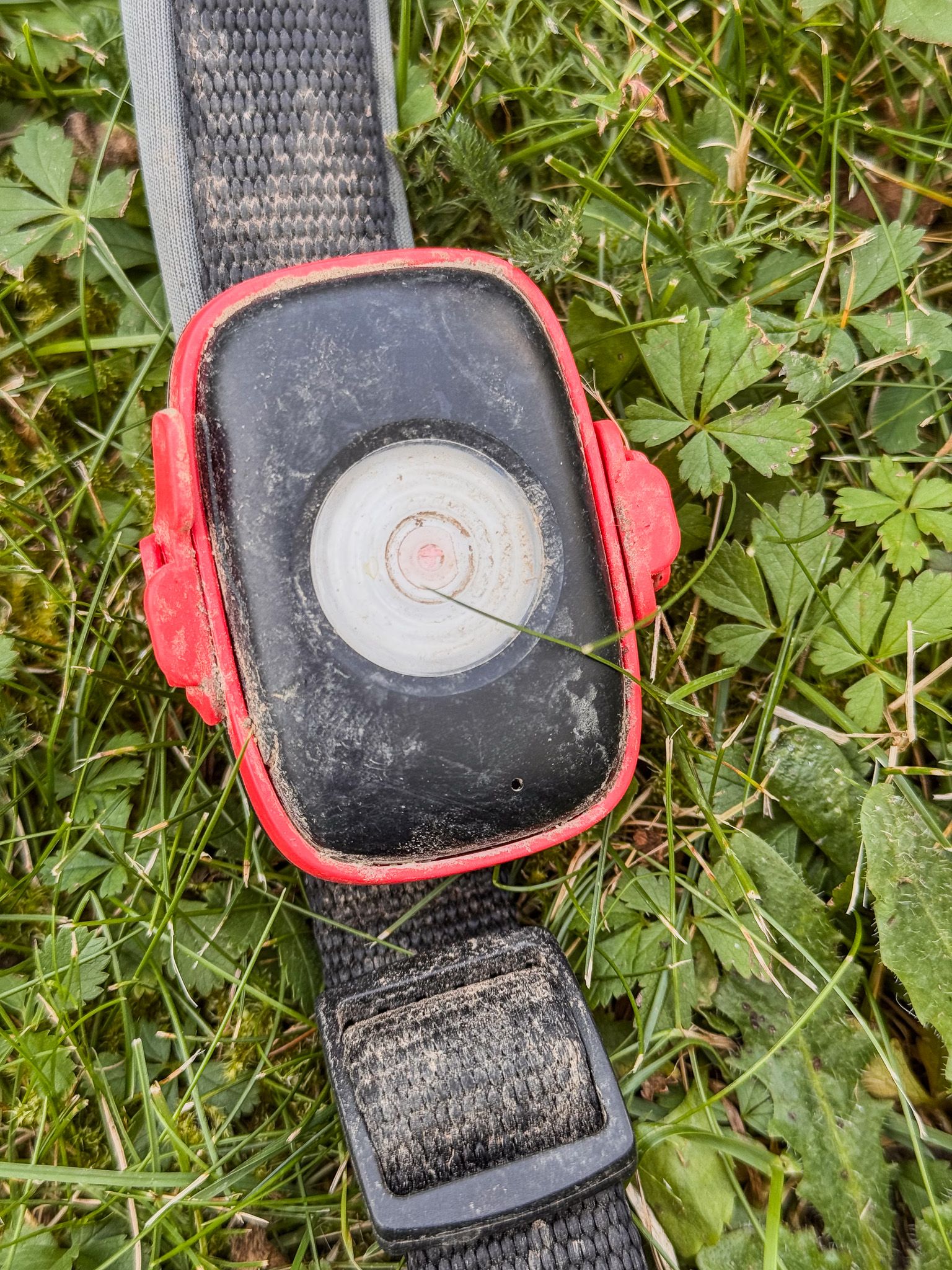 NordPaw Dog Gps - Der zuverlässige Hundetracker im Test