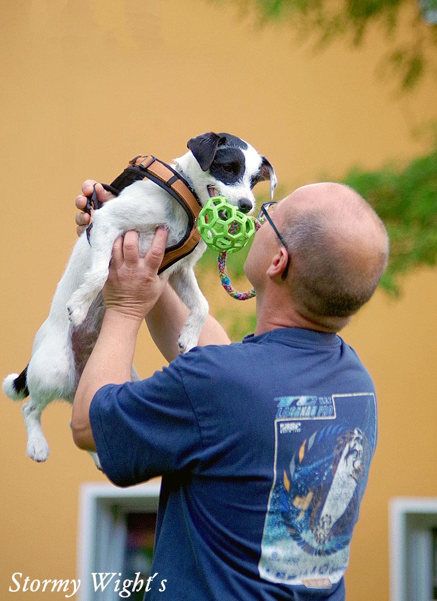 Hund und Mensch - ein Team