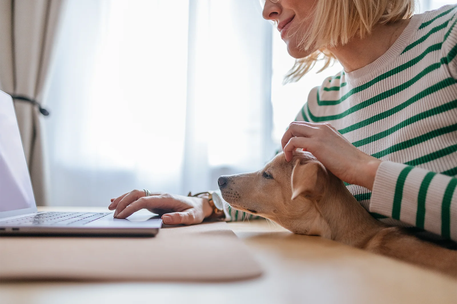 Hund und Mensch beim Lernen zu Hause